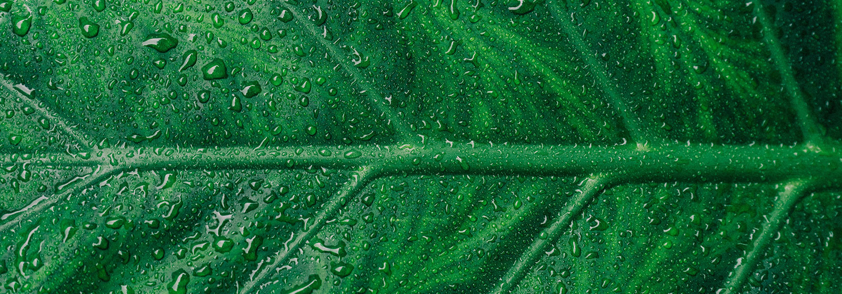 亚洲国产剧情中文视频在线