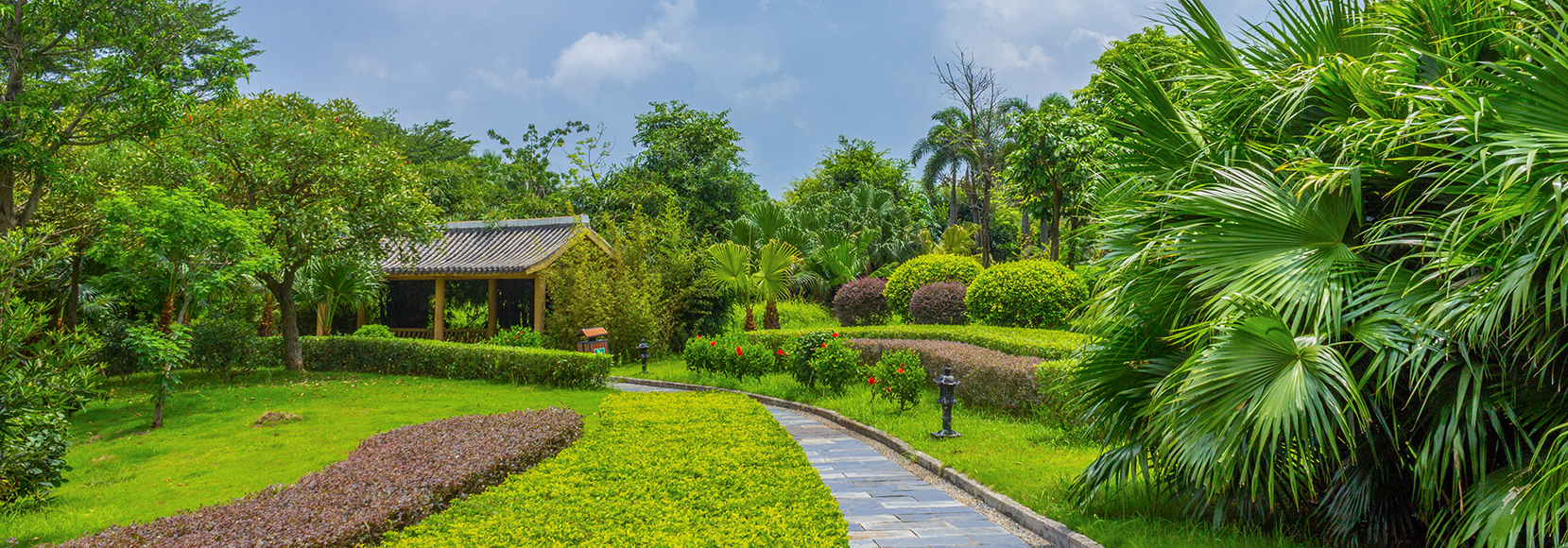 亚洲国产剧情中文视频在线