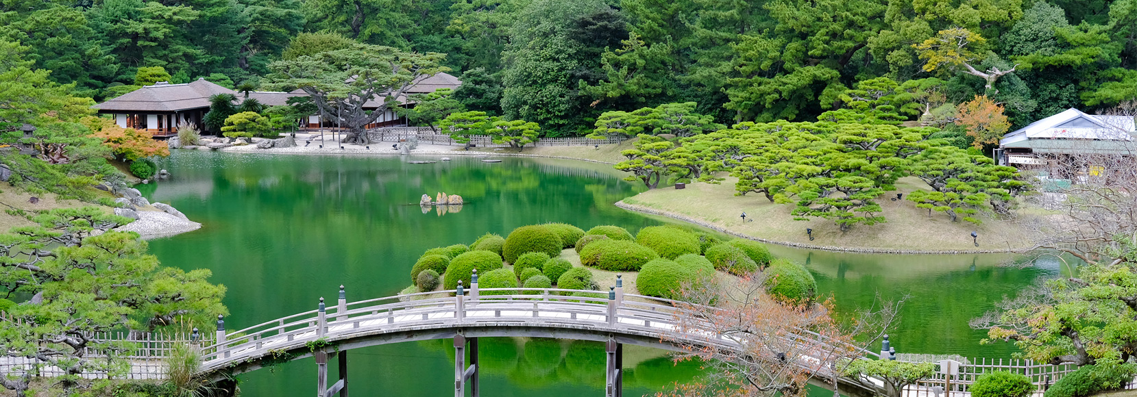 亚洲国产剧情中文视频在线