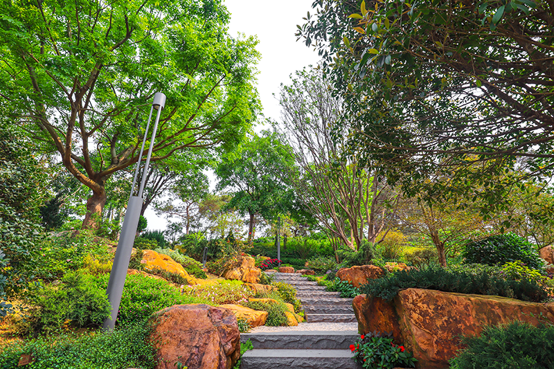 1596420886379679.png 1.png