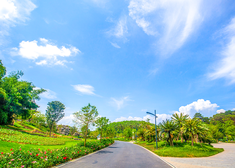 1596434089611076.png 1.png