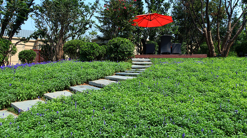 1596437496245726.png 0.png